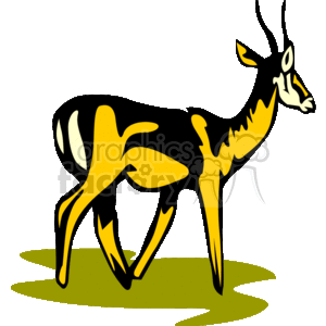 Abstract image of an African gazelle