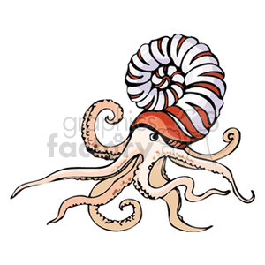 Ammonite Illustration - Ancient Marine Creature