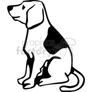 Beagle Dog