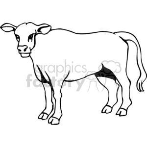 This image is a black and white line art drawing of a single cow. It's a simple, stylized representation commonly used in clipart collections.
