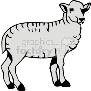 This clipart image depicts a sheep standing. The sheep is drawn in a simple, stylized manner with outlines defining its wool-covered body, face, legs, and ears. It appears in grayscale with no background elements.