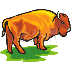 Brown bison on grass
