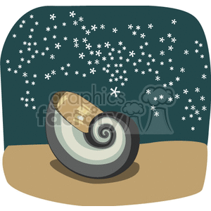 snail on the beach at night