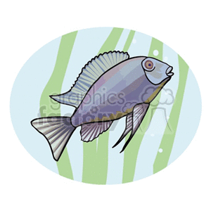 This clipart image features a stylized fish with prominent fins and a noticeable eye. The fish has shades of purple and gray, and it is set against a light blue background with wavy green lines, suggesting an aquatic environment.