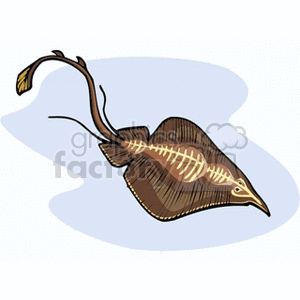 Cartoon Stingray Illustration - Marine Animal