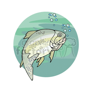 The clipart image depicts a cartoon fish in an aquatic environment, with bubbles indicating that it is underwater. The fish has a rounded body with fins and a tail, and it is colored with various shades of gray and has spots that suggest a pattern or texture on its skin.