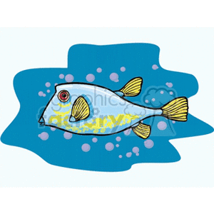 Tropical Fish Illustration - Exotic Marine Life