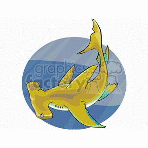 Hammerhead shark