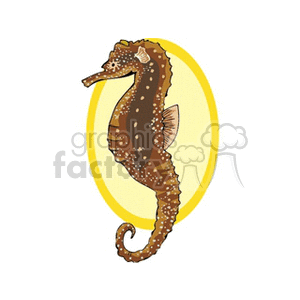 The clipart image depicts a seahorse in profile against a yellow oval background. The seahorse features various markings and fins, characteristic of its species.