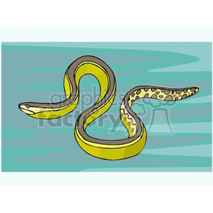 Illustration of a Colorful Eel in Water