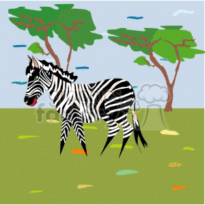 Colorful of Zebra in African Safari Landscape