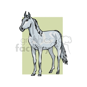 Clipart image of a standing gray horse with a green background.