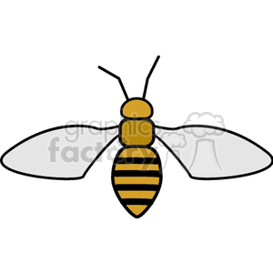 Simple image of a bee