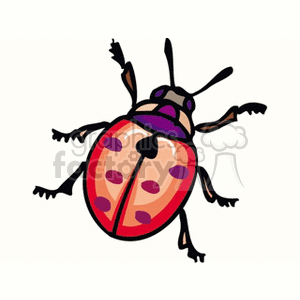 A colorful clipart image of a ladybug with a red body and black spots, detailed with purple and brown accents on its head and legs.
