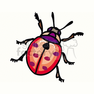 Cartoon ladybug