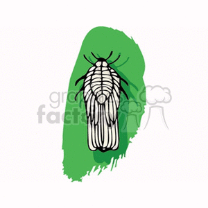 A clipart illustration of a detailed insect, resembling a cicada, with black and white lined body and wings, on a green background.