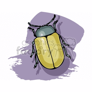 A clipart image of a beetle with a yellow body and black legs on a purple background.