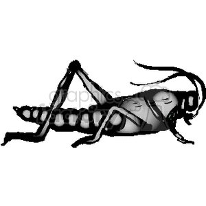 A black and white clipart illustration of a grasshopper.
