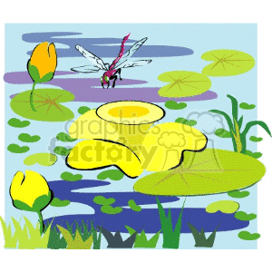 A colorful clipart image of a pond scene featuring yellow water lilies, green lily pads, and a dragonfly hovering above the water. There are also some green reeds in the background.