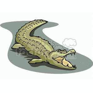 Cartoon Crocodile