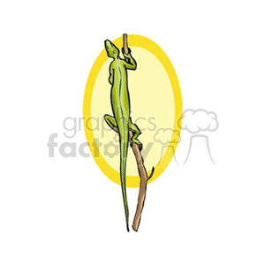 The image is a clipart of a green lizard clinging onto a vertical branch. The lizard is depicted in profile view with its body elongated along the branch and its head pointed upwards. There's a stylized yellow oval backdrop behind the lizard that serves to highlight the animal in the composition.