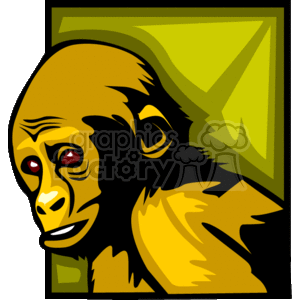 1_monkey
