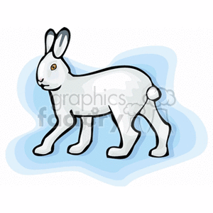 Cartoon White Rabbit Illustration