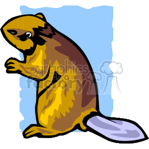 This image is a clipart illustration of a beaver, which is a type of rodent known for its large teeth, flat tail, and ability to build dams in waterways. The beaver is typically recognized by its brown fur, distinctive tail, and sharp incisors.