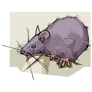 The clipart image features a single cartoon depiction of a rodent, which appears to be a mouse or rat, characterized by its large ears, long whiskers, and a distinctively long tail. The rodent is illustrated with a side profile and is standing on what looks like a piece of paper. The style of the drawing is semi-realistic but stylized with visible brush or pen strokes, giving the fur texture.