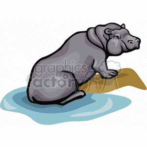 A cartoonish clipart image of a hippopotamus sitting in water.
