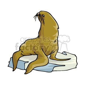 The clipart image depicts a seal resting on a piece of ice, possibly a small iceberg or ice floe.