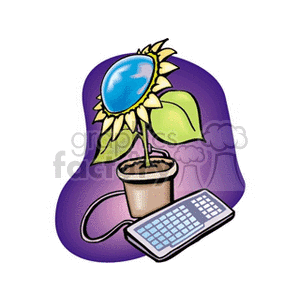 Sunflower and Keyboard Tech