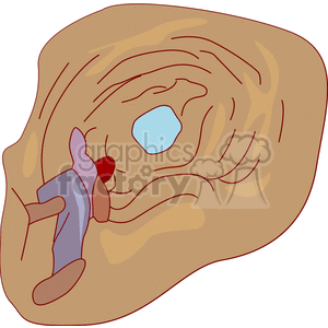 A cartoon person exploring the inside of a large, winding cave with a visible opening that lets in light.