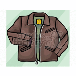 Brown Jacket