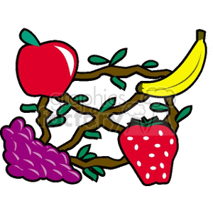 Fruit Network