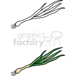 Clipart image showing two illustrations of scallions or green onions: one in black and white, and the other in color.