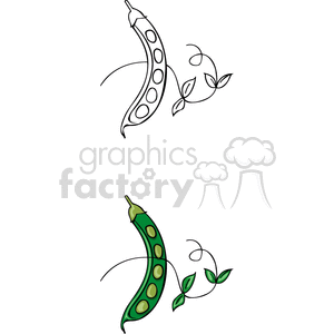 Clipart image featuring two pea pods, one in a black and white outline and the other fully colored. Both pea pods are shown with delicate green vines and leaves.