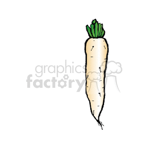 White Carrot Image with Green Leaves