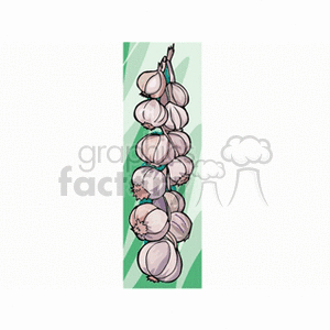 Clipart image of a bunch of garlic bulbs tied together with a string.
