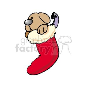 Cute Dog in Christmas Stocking