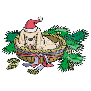 This clipart image features a dog wearing a Santa hat, sitting inside a woven basket. The basket is adorned with a ribbon, and there are pine tree branches and pine cones around it, suggesting a Christmas or holiday theme.