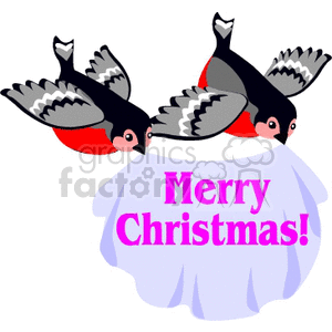 Merry Christmas birds