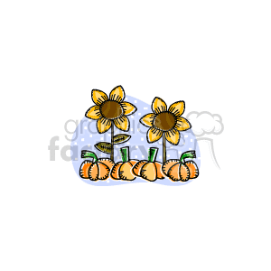 The clipart image depicts three sunflowers with brown centers and yellow petals in the background and five orange pumpkins with green stems in the foreground. The scene conveys a festive autumnal theme commonly associated with the fall season, Thanksgiving holiday, and Halloween. 