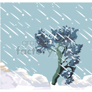 Winter Snowstorm with Snow-Covered Tree