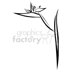 Minimalist Plant and Flower Line Drawing