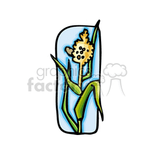 Corn Plant with Tassel and Leaves