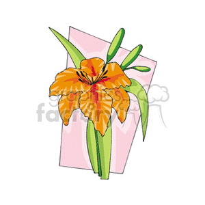 Clipart image of a vibrant orange flower with green leaves, set against a pink geometric background.