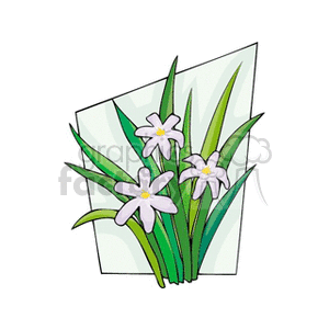 White Flowers with Green Leaves