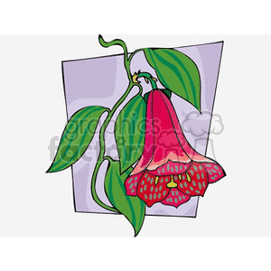 Red Bell-Shaped Flower