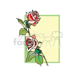 Elegant Rose with Frame